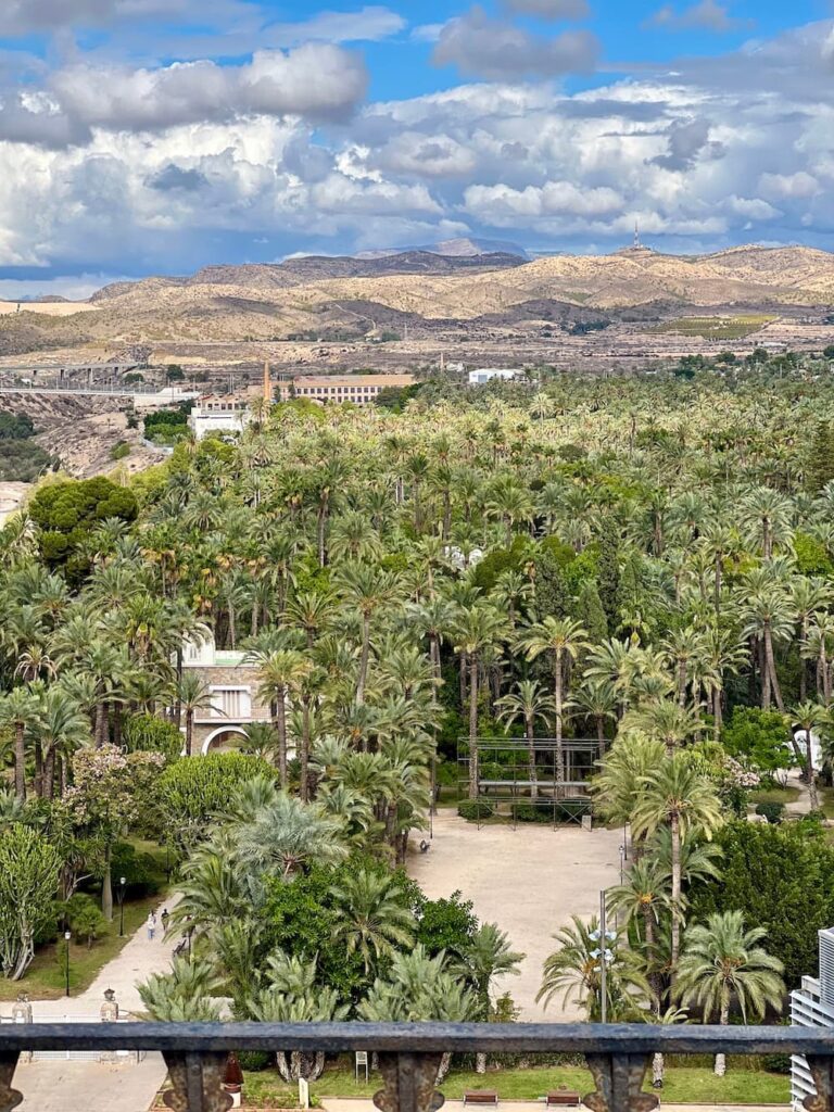 palmeraie elche