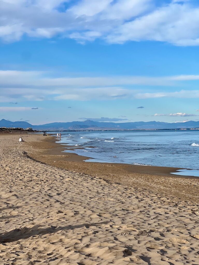 playa el campo automne