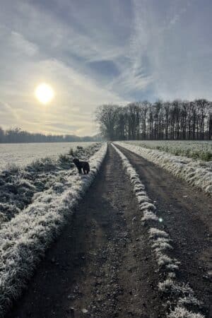 Prendre du temps pour soi : 5 raisons pourquoi tu n’y arrives pas