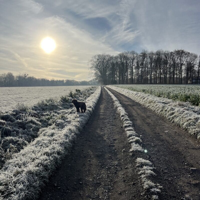 Prendre du temps pour soi : 5 raisons pourquoi tu n’y arrives pas