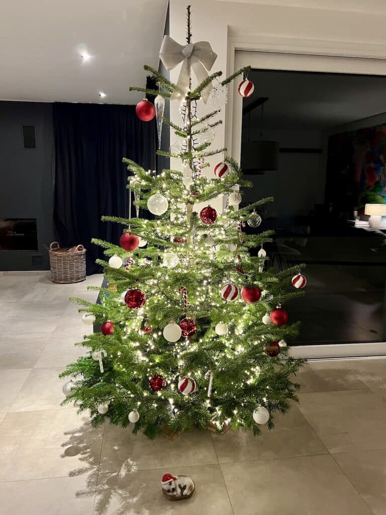 recevoir à noël sans stress