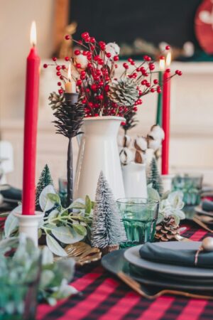 Recevoir à Noël sans stress + recettes végétariennes faciles et conviviales