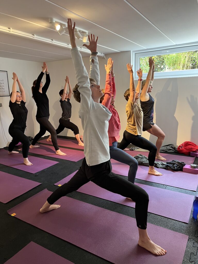 cours de yoga erpent namur