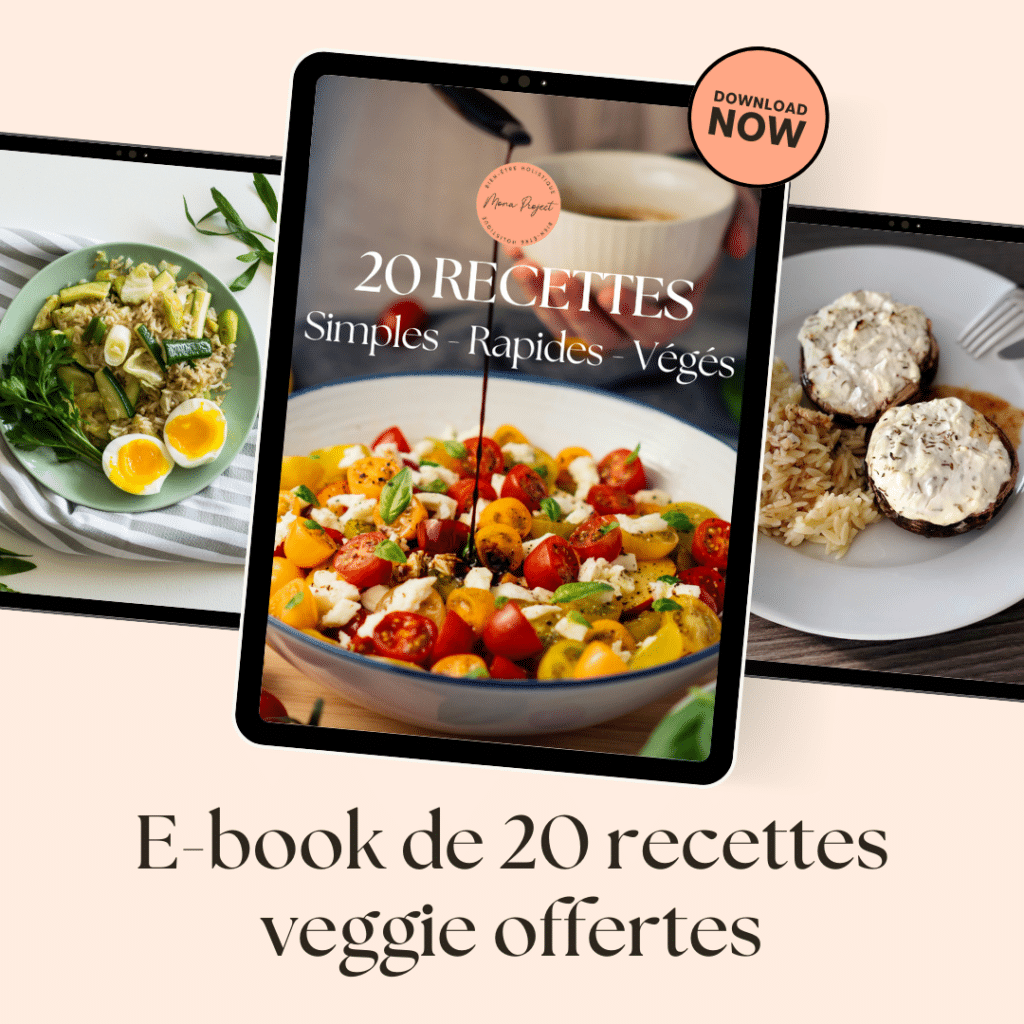 ebook recettes gratuit mona project